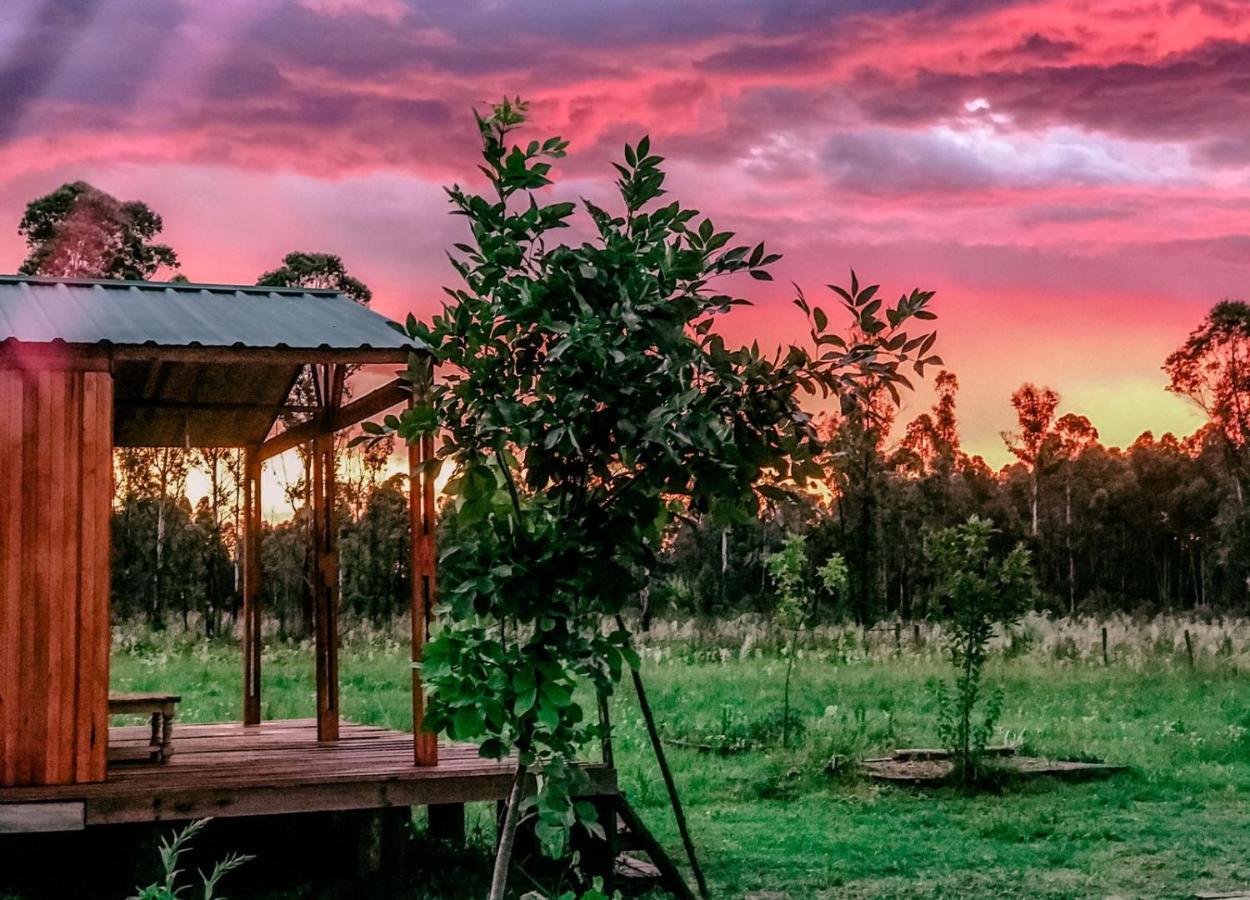 Campo Verde Concordia Dış mekan fotoğraf